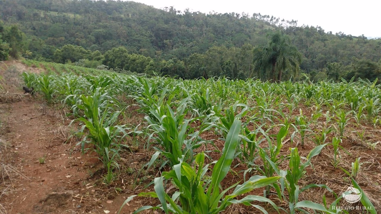 Small farm of 22 acres in Santa Cruz do Sul, RS, Brazil