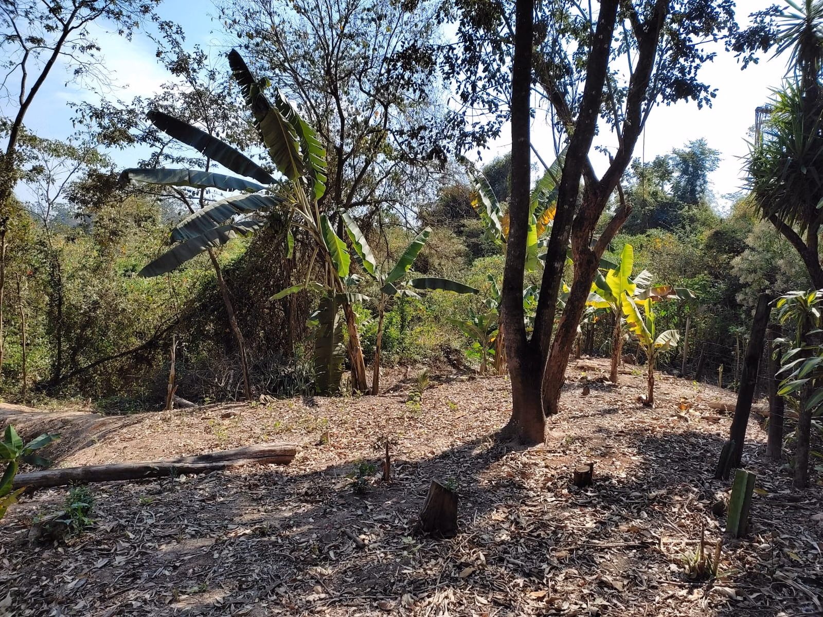 Chácara de 3 ha em Piracicaba, SP