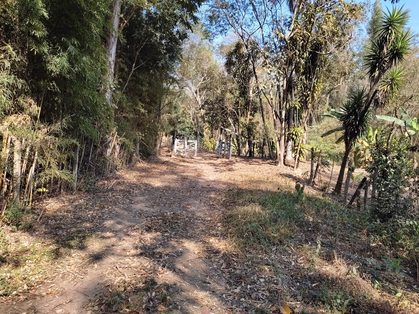 Chácara de 3 ha em Piracicaba, SP