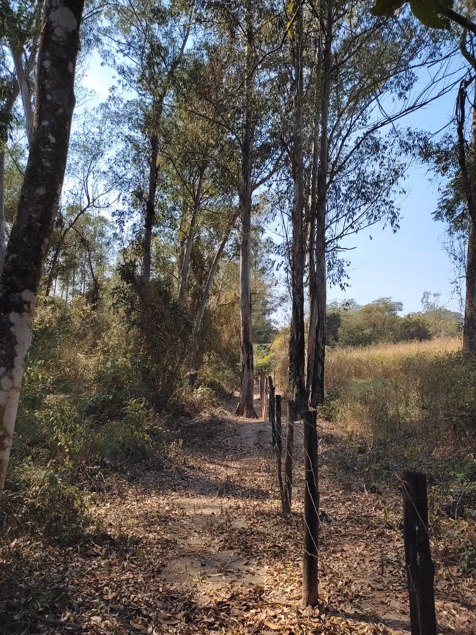 Country home of 8 acres in Piracicaba, SP, Brazil