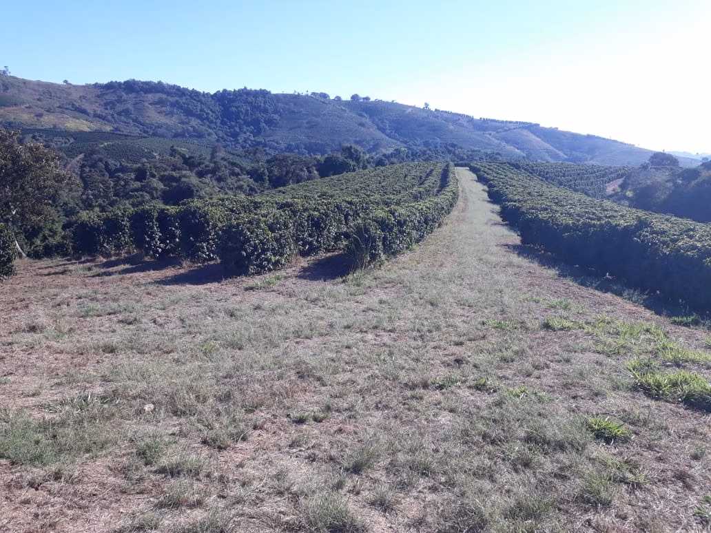 Fazenda de 252 ha em Jacutinga, MG