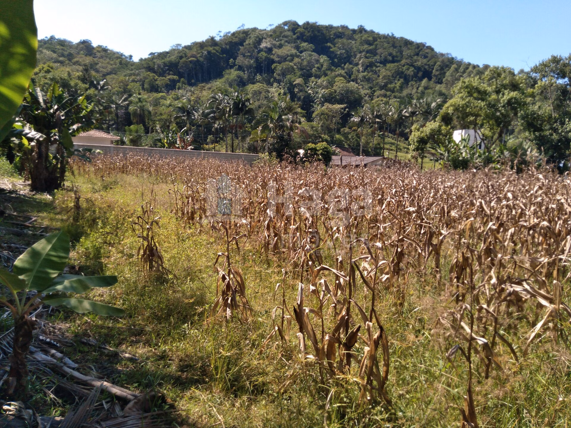 Terreno de 1.269 m² em Guabiruba, SC