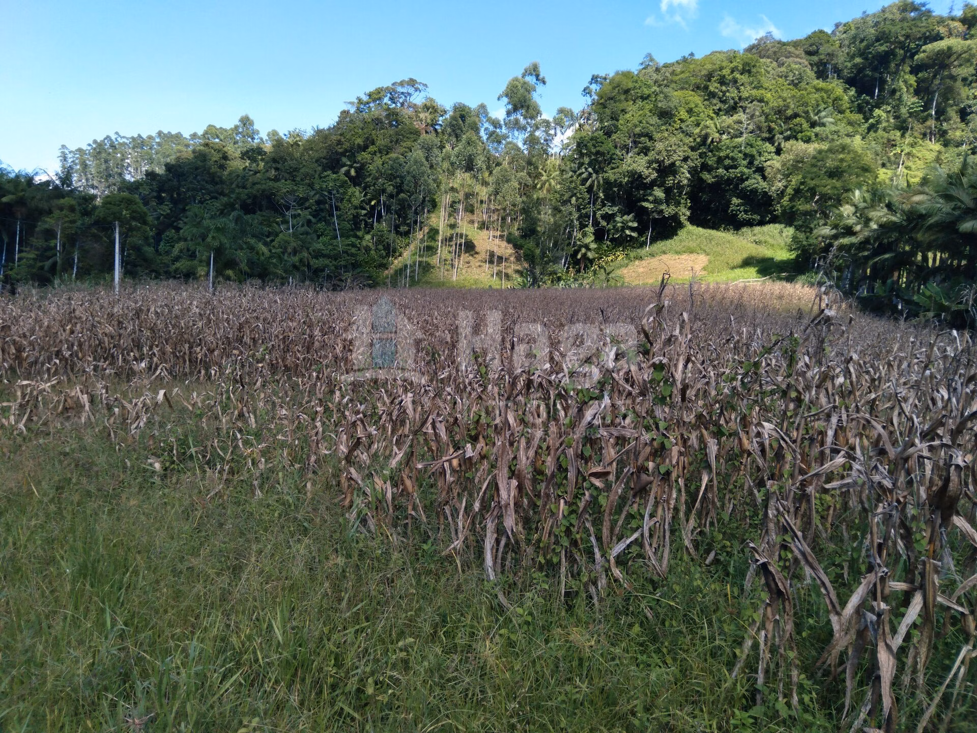 Terreno de 1.269 m² em Guabiruba, SC