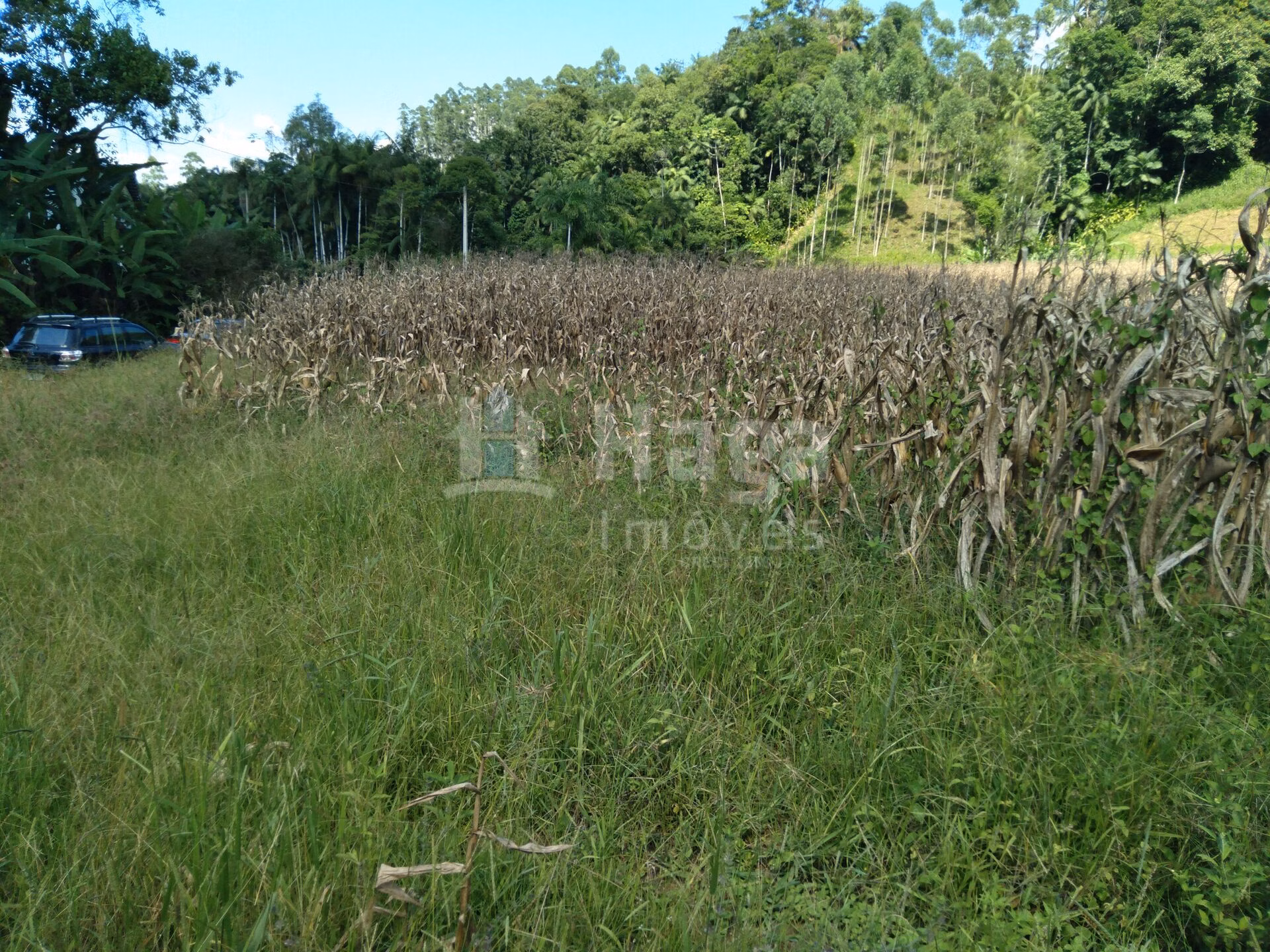 Terreno de 1.269 m² em Guabiruba, SC