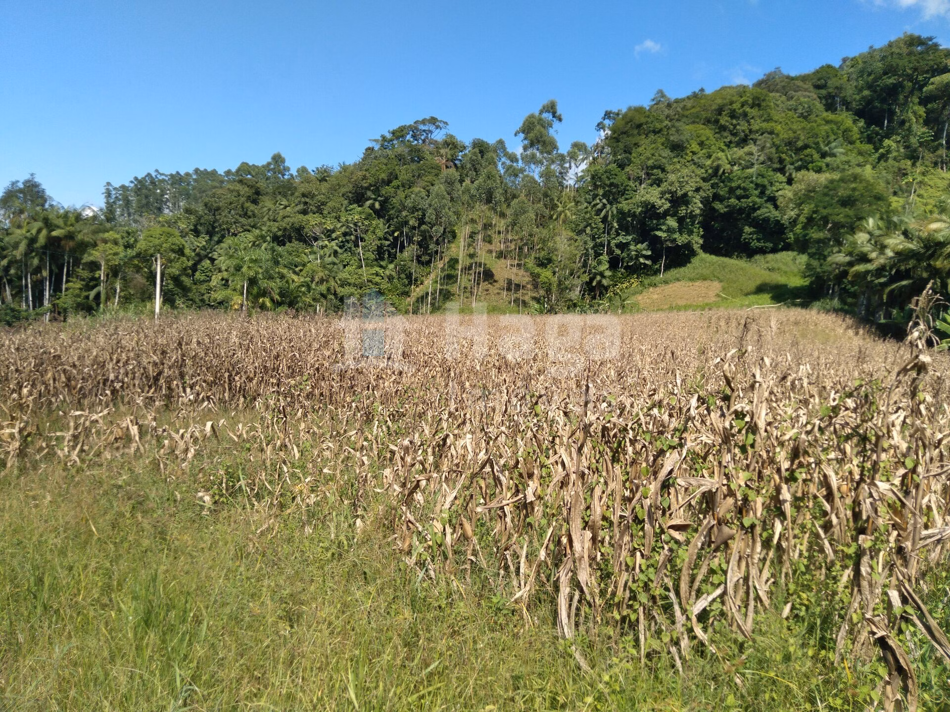 Terreno de 1.269 m² em Guabiruba, SC