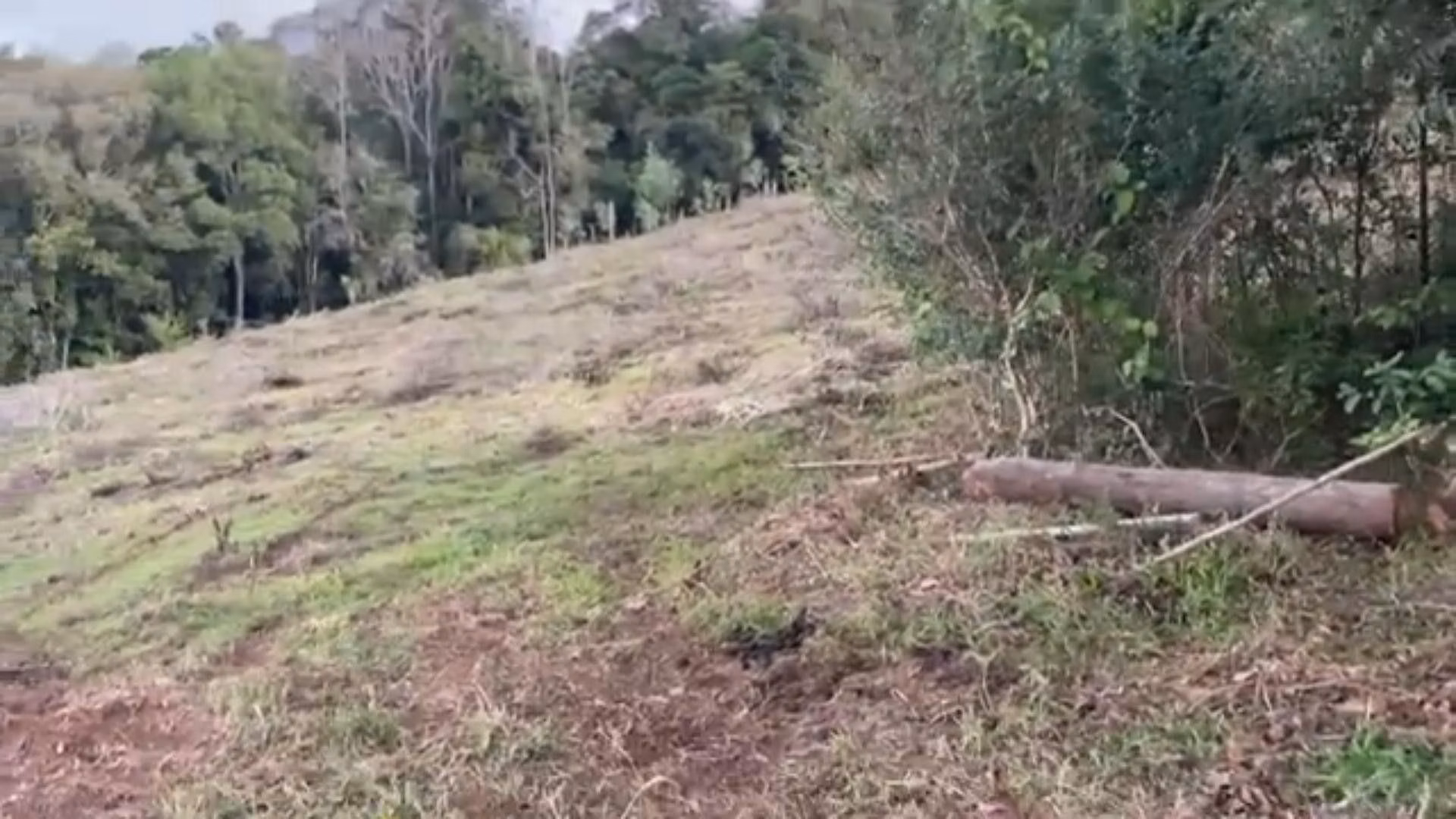 Country home of 3 acres in Glorinha, RS, Brazil