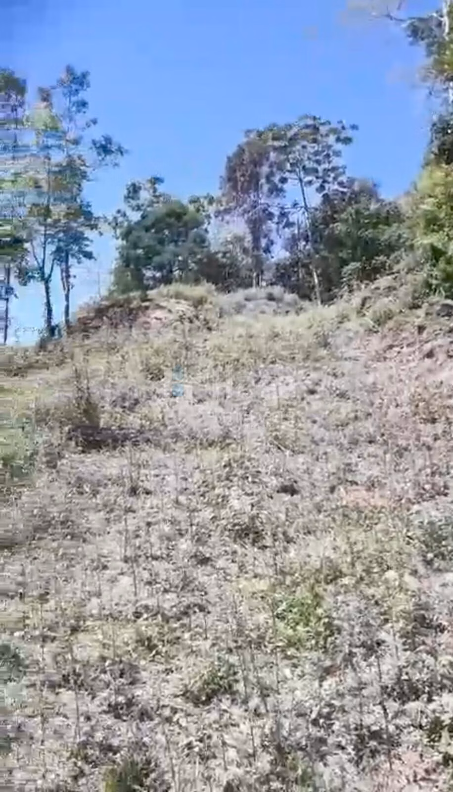 Country home of 10 acres in Brusque, SC, Brazil