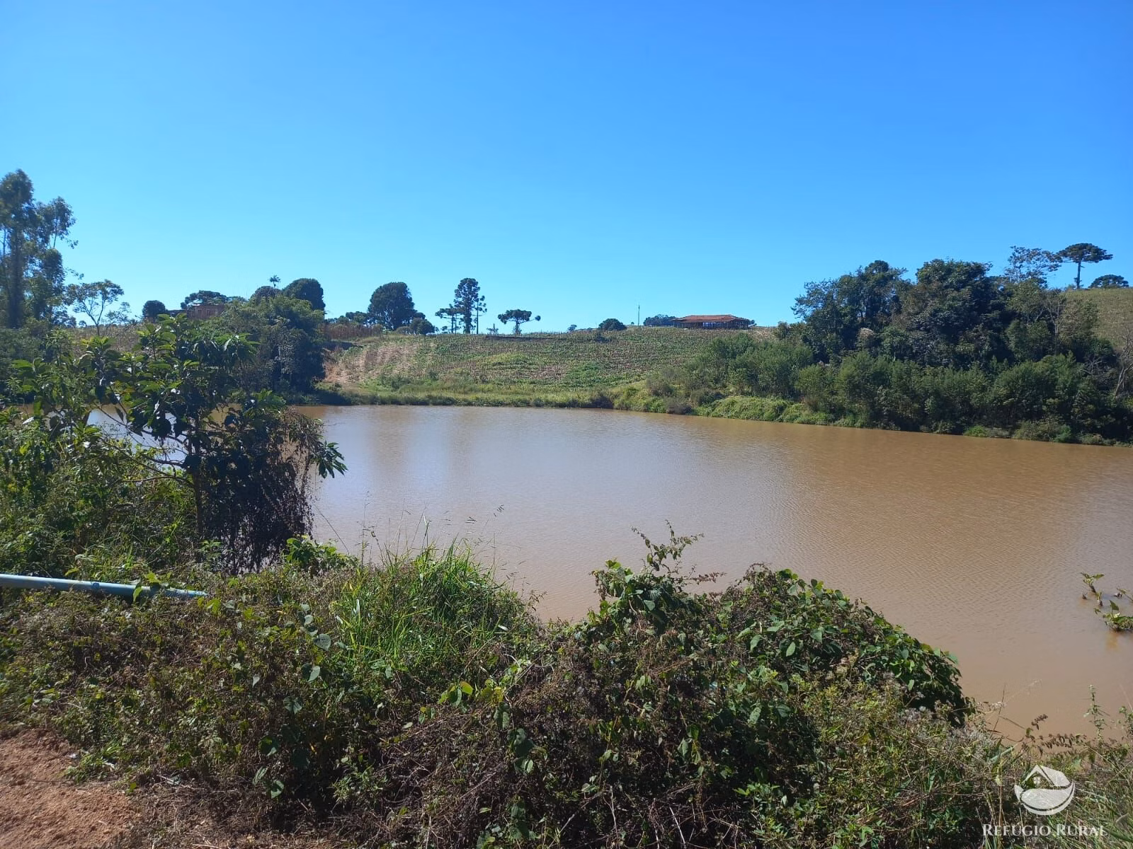 Fazenda de 111 ha em Toledo, MG