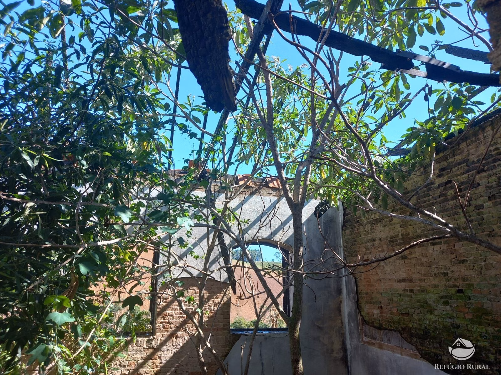 Fazenda de 111 ha em Toledo, MG