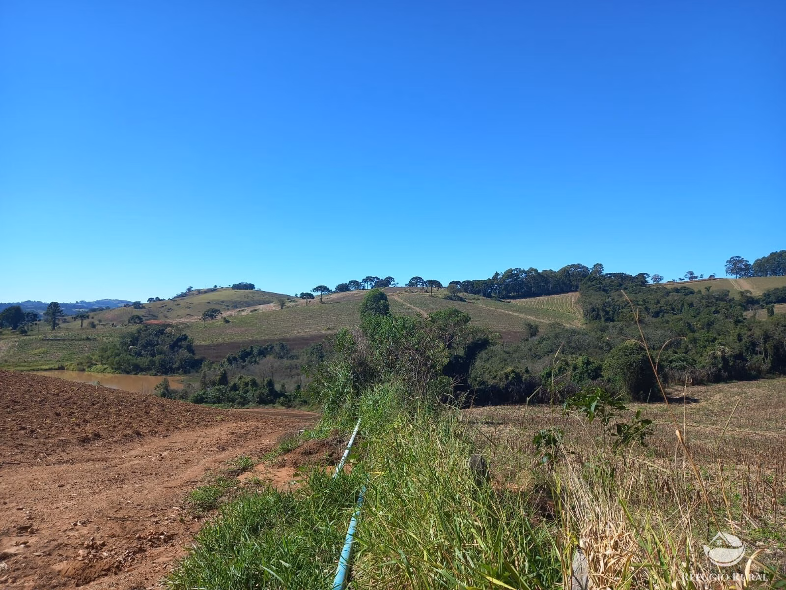 Fazenda de 111 ha em Toledo, MG