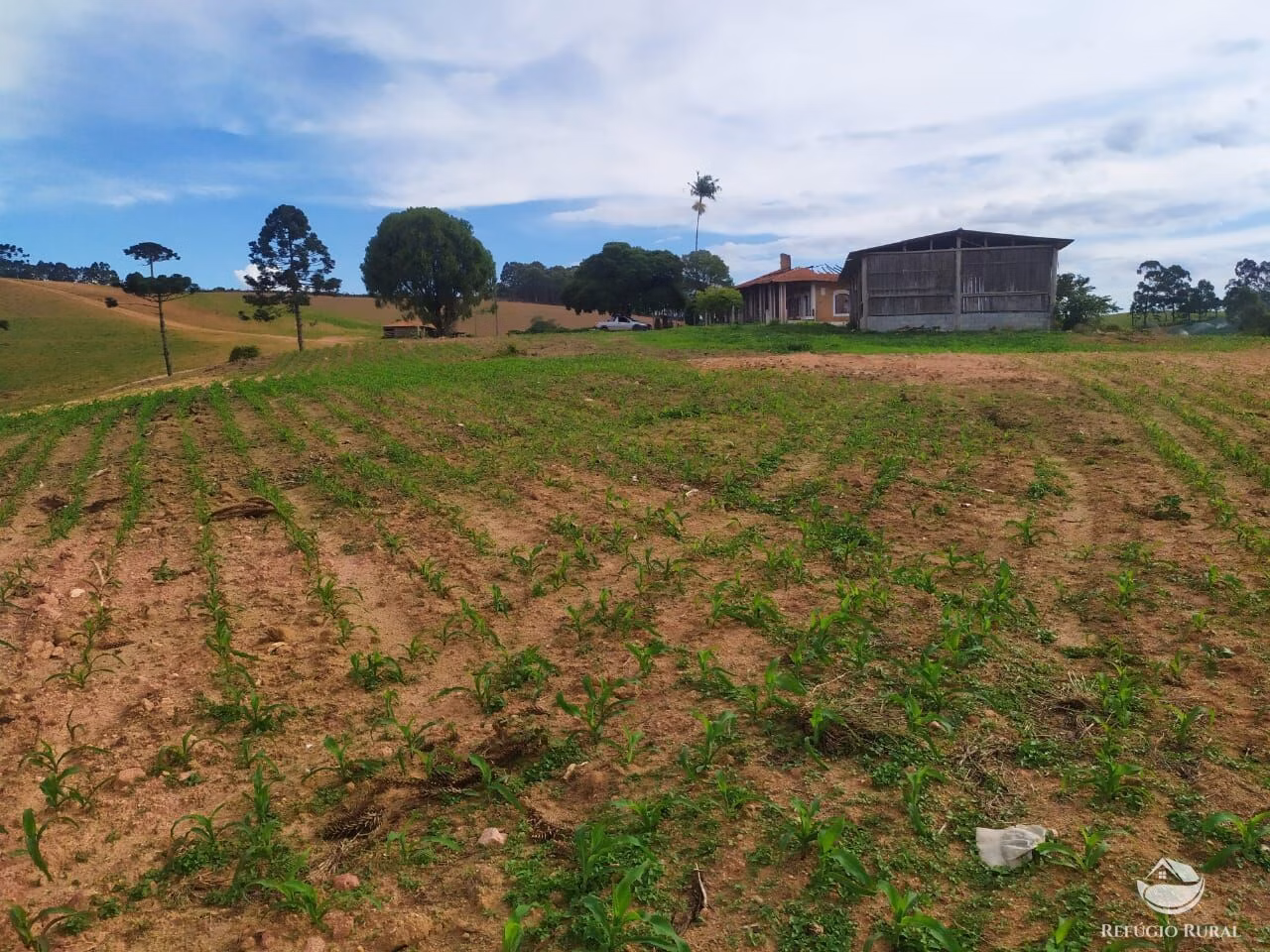 Fazenda de 111 ha em Toledo, MG