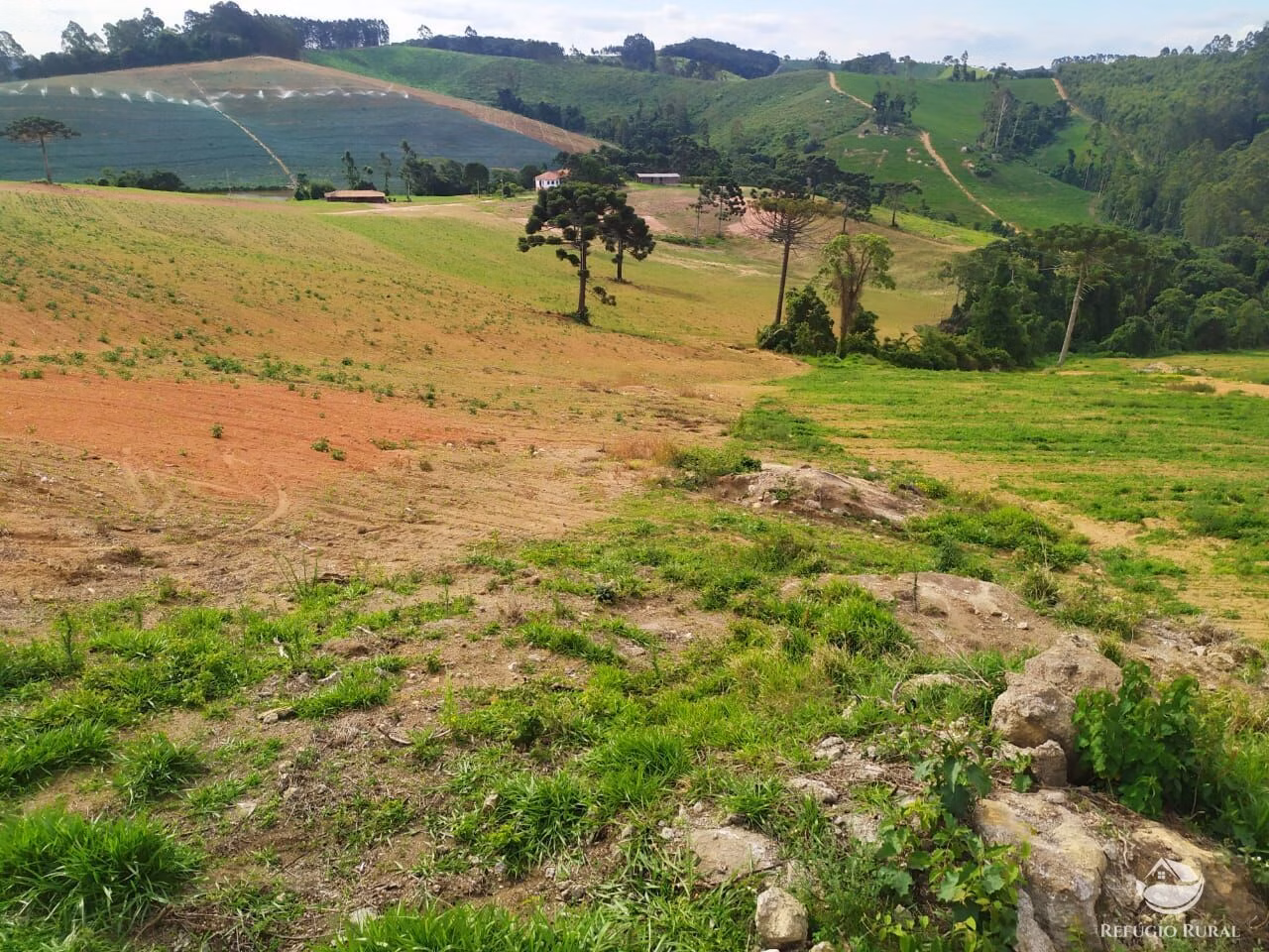 Fazenda de 111 ha em Toledo, MG