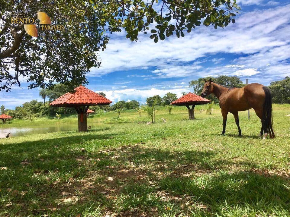 Sítio de 3 ha em Santo Antônio de Leverger, MT