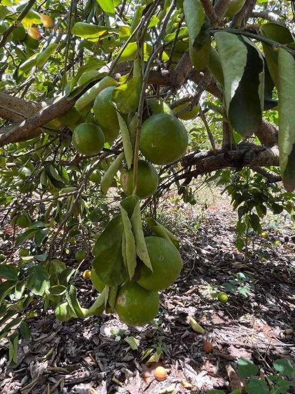 Chácara de 10 ha em Chapada dos Guimarães, MT