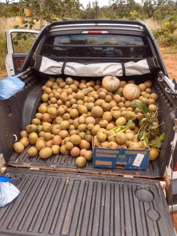 Chácara de 10 ha em Chapada dos Guimarães, MT