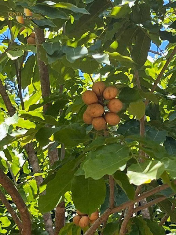 Chácara de 10 ha em Chapada dos Guimarães, MT