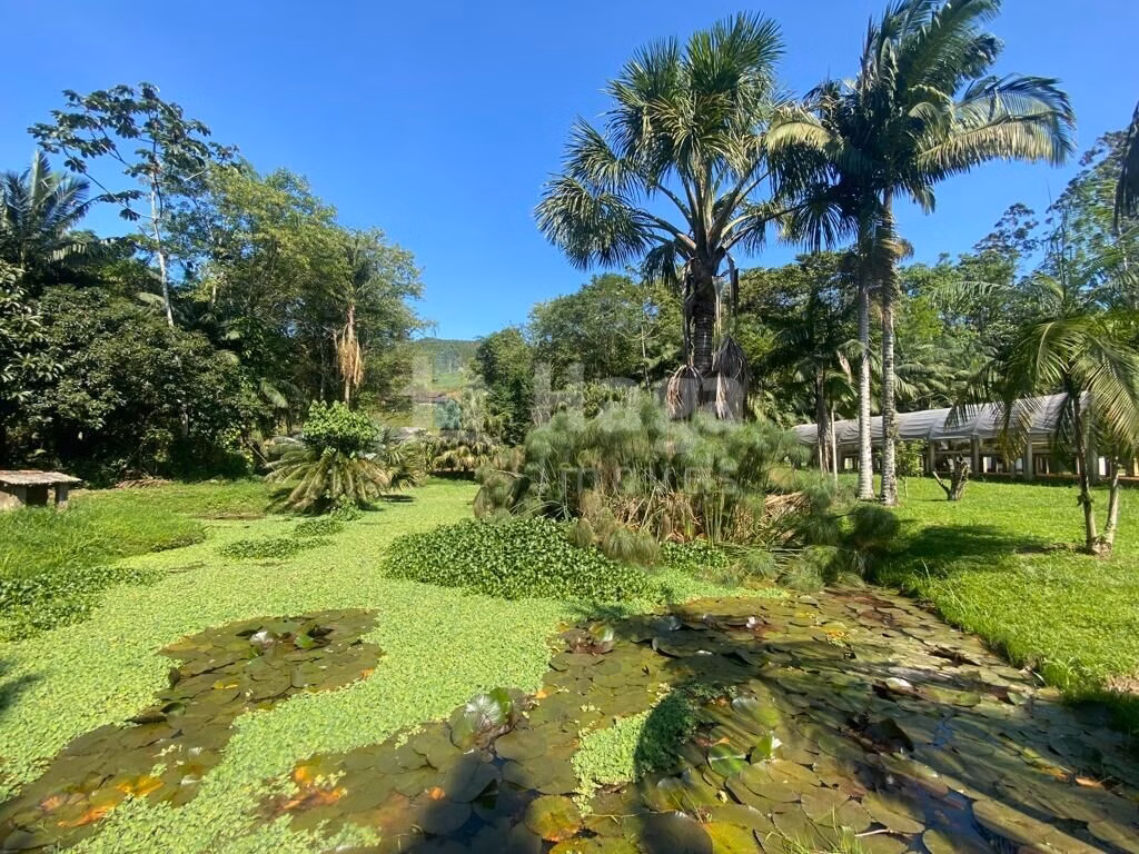 Farm of 32 acres in Canelinha, SC, Brazil