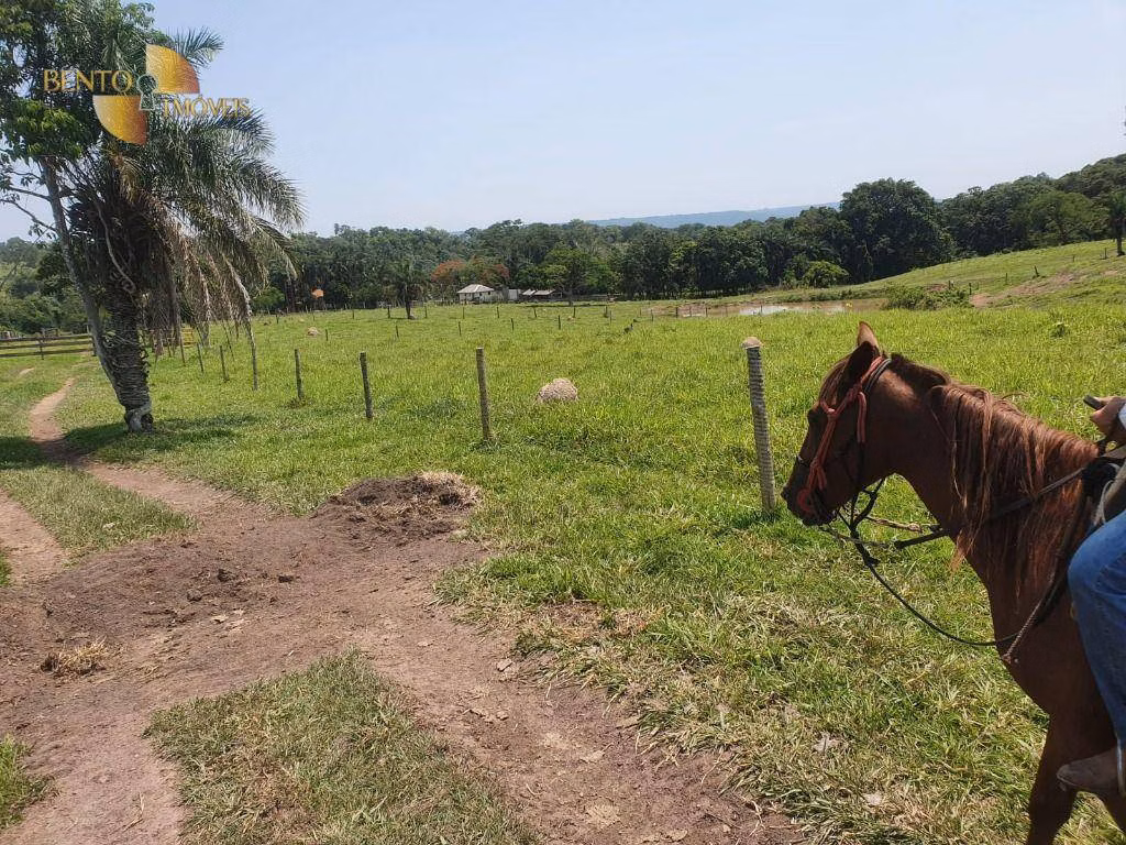 Fazenda de 150 ha em Rondonópolis, MT