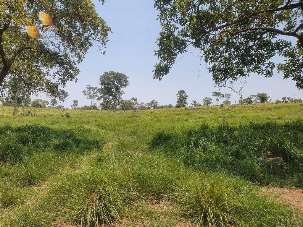 Fazenda de 150 ha em Rondonópolis, MT