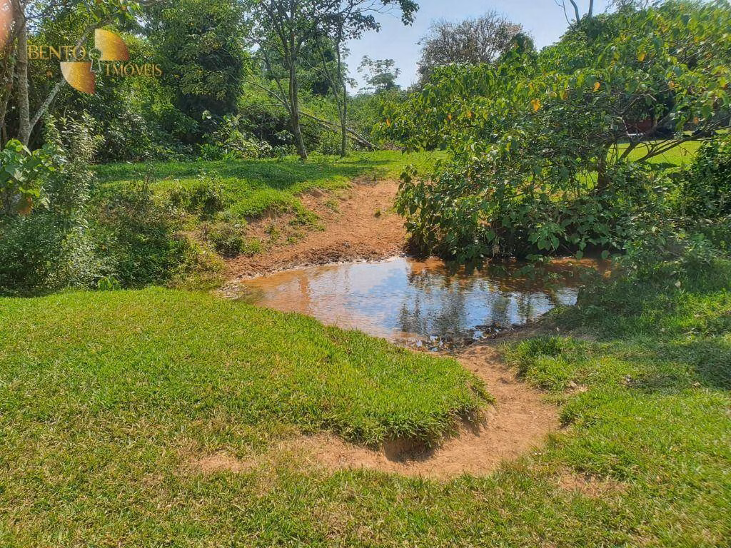Fazenda de 150 ha em Rondonópolis, MT