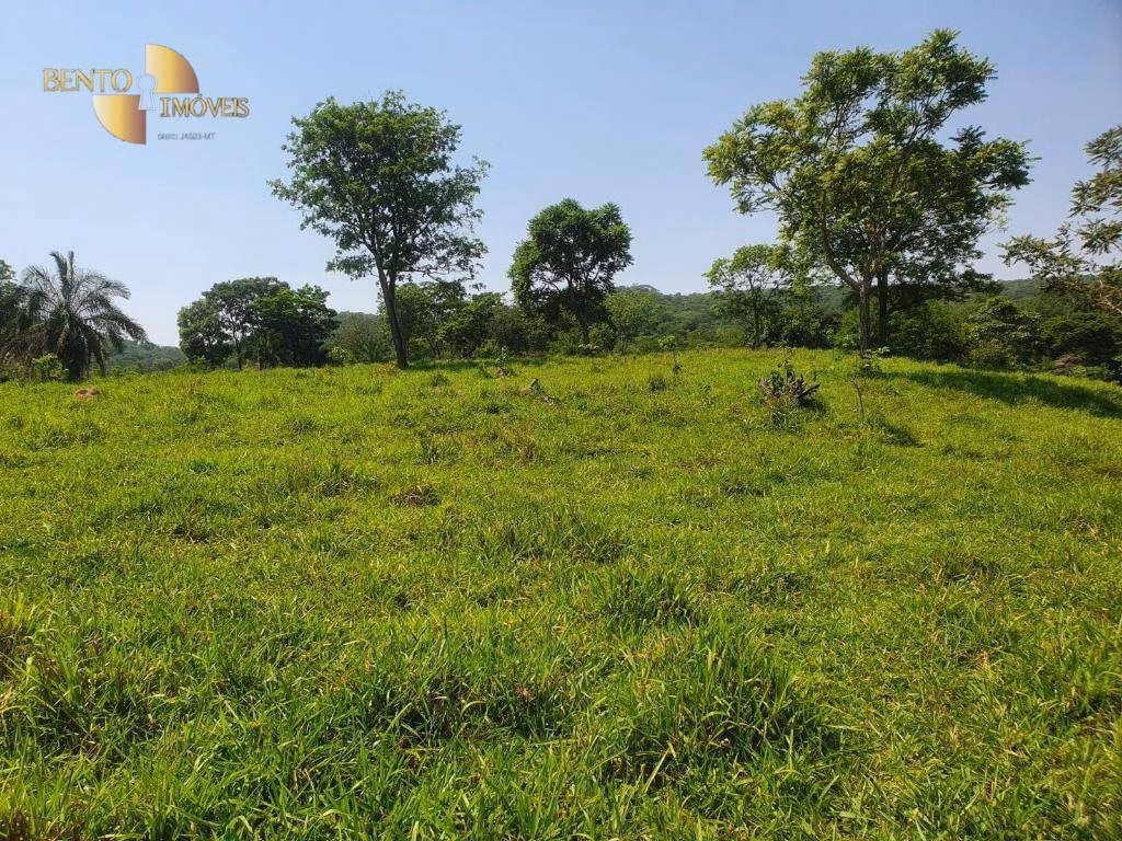 Fazenda de 150 ha em Rondonópolis, MT