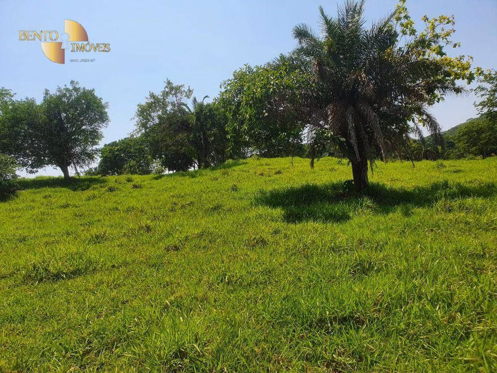 Fazenda de 150 ha em Rondonópolis, MT