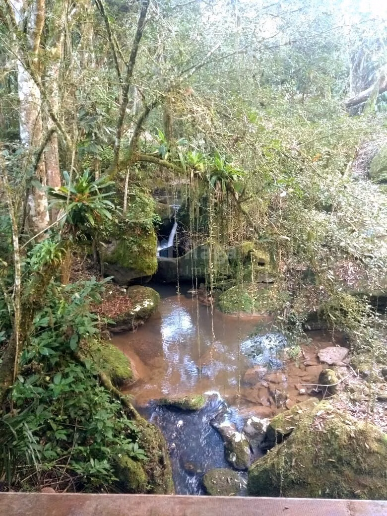 Chácara de 16 ha em José Boiteux, SC