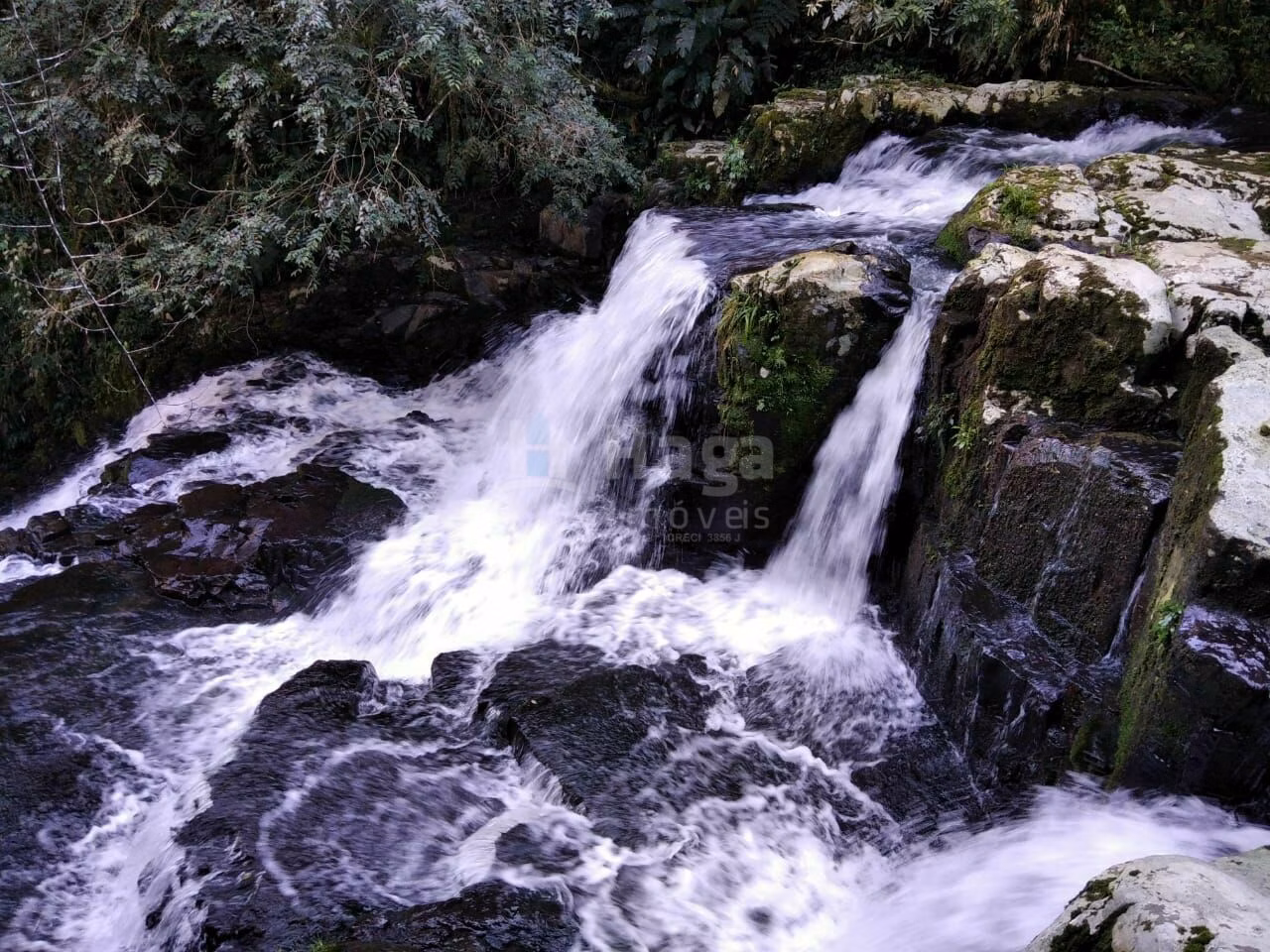 Chácara de 16 ha em José Boiteux, SC