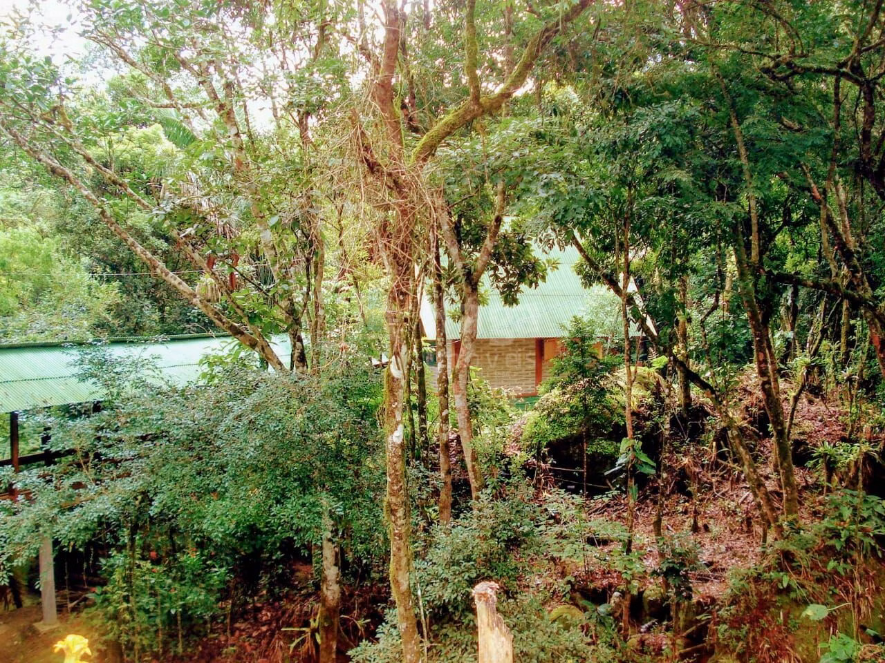 Chácara de 16 ha em José Boiteux, SC