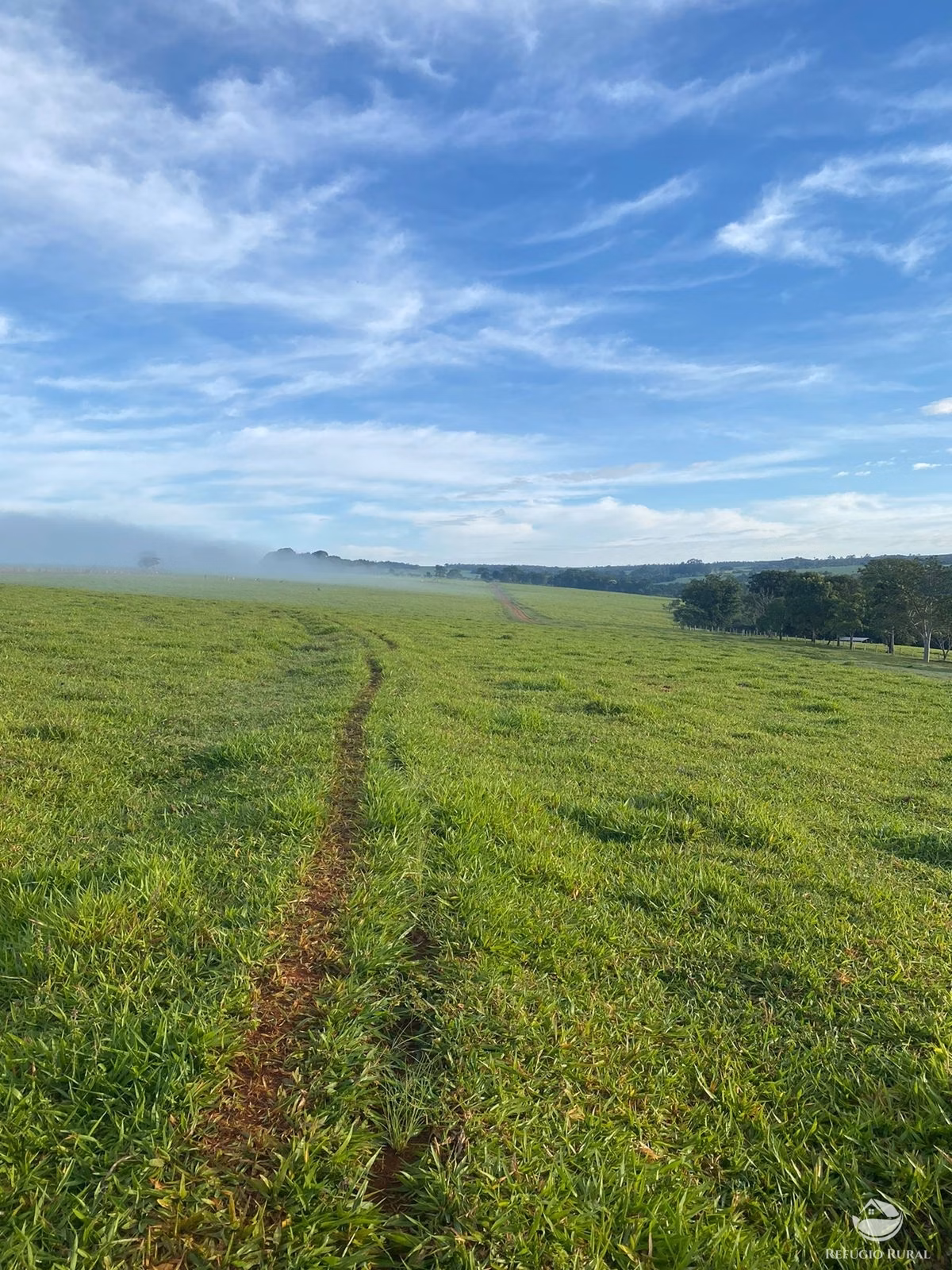 Fazenda de 1.258 ha em Corumbá de Goiás, GO