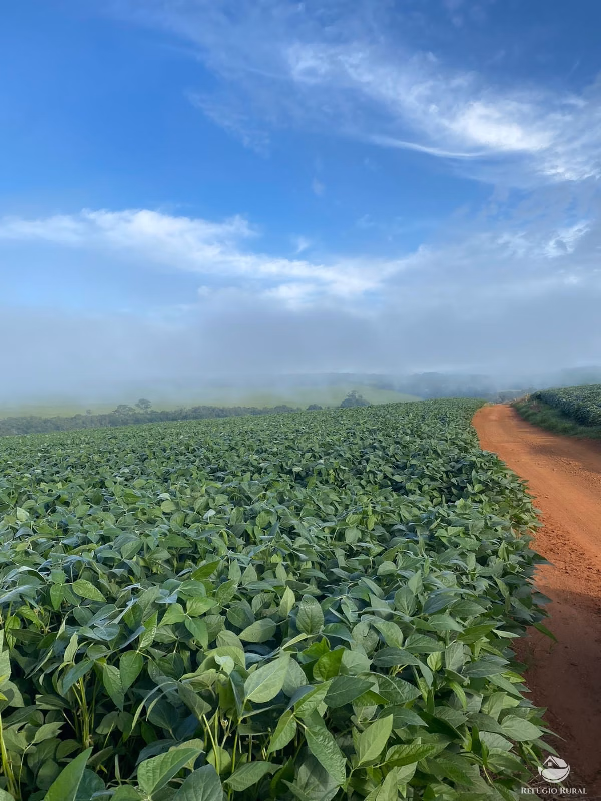 Farm of 3,109 acres in Corumbá de Goiás, GO, Brazil