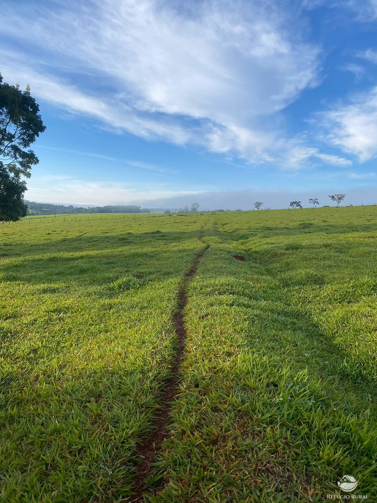 Farm of 3,109 acres in Corumbá de Goiás, GO, Brazil