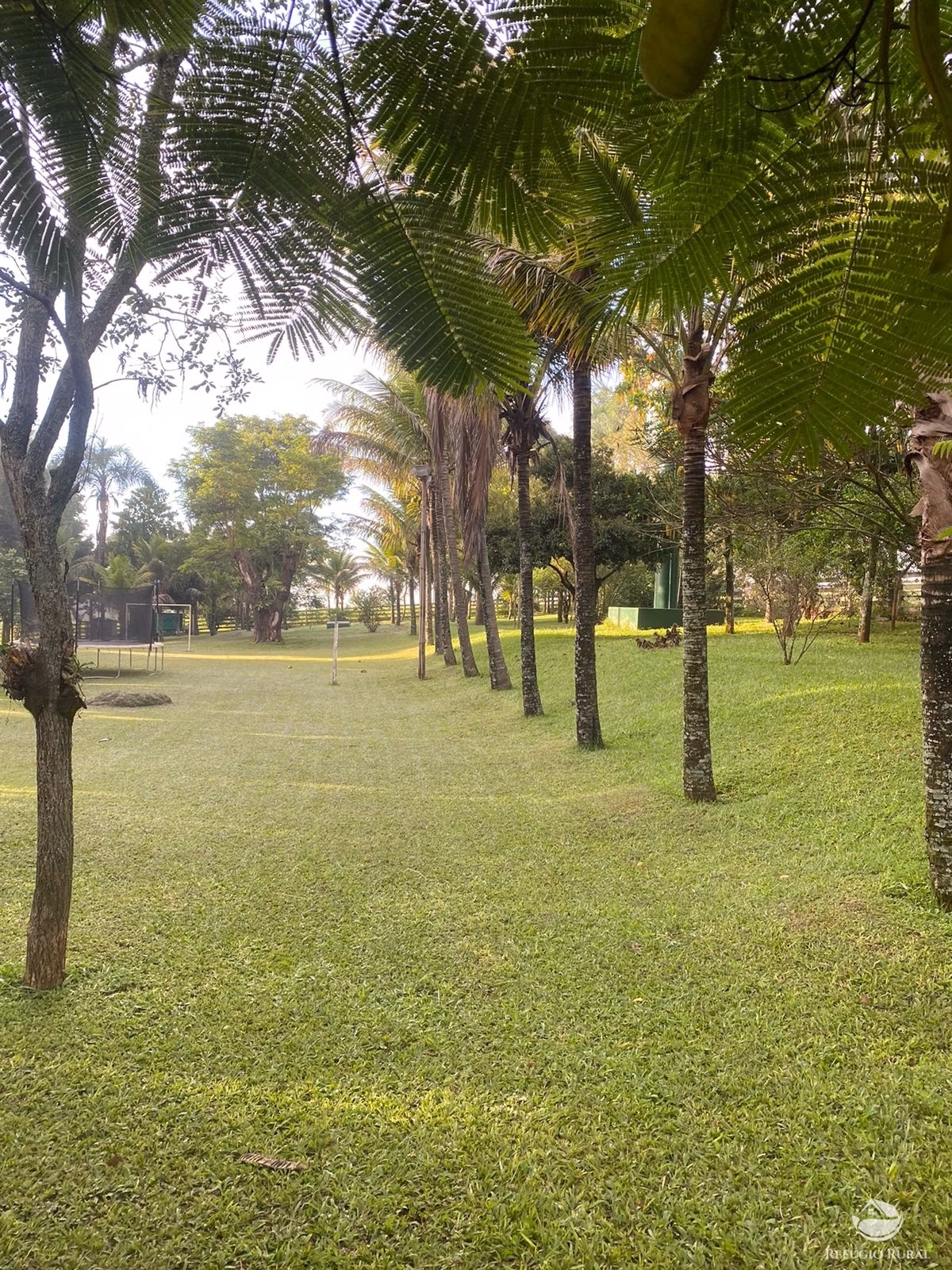 Farm of 3,109 acres in Corumbá de Goiás, GO, Brazil