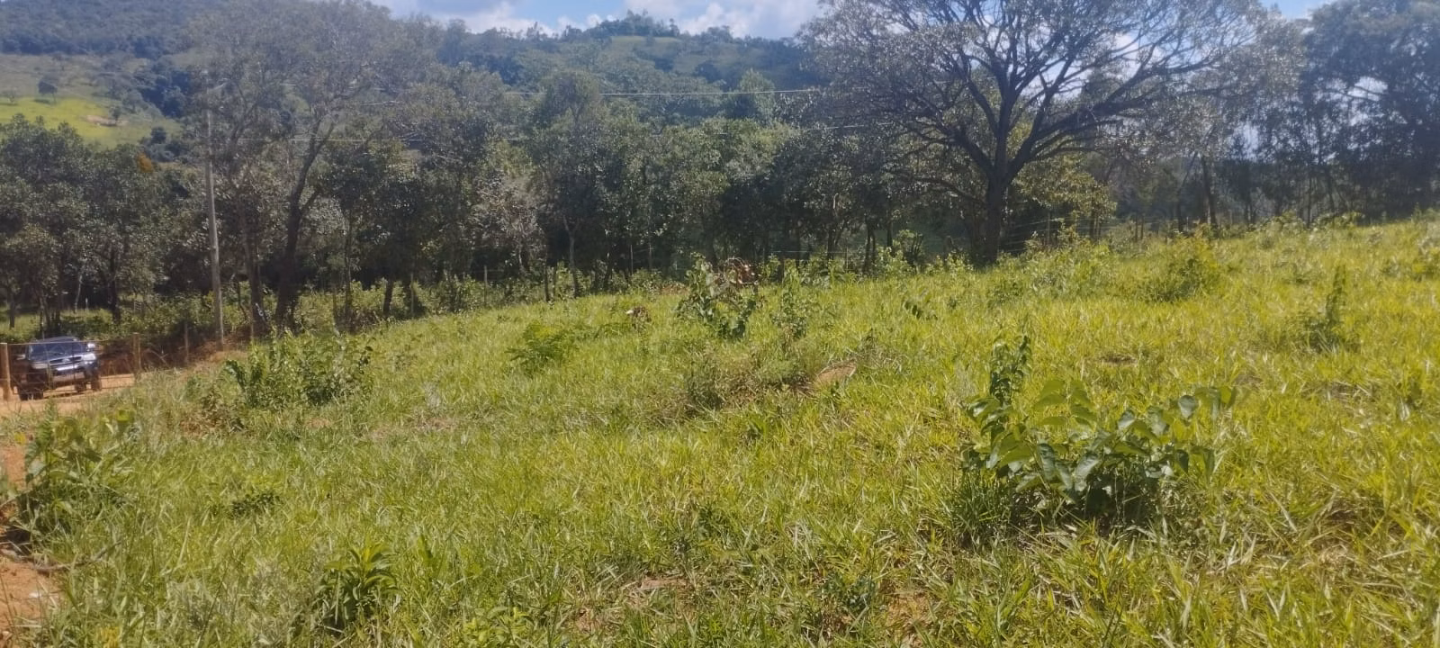 Terreno de 2 ha em Itaguara, MG