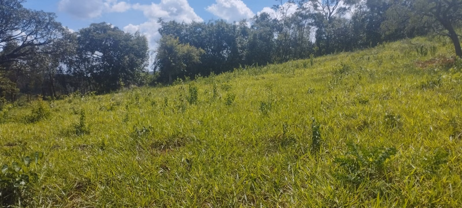 Terreno de 2 ha em Itaguara, MG