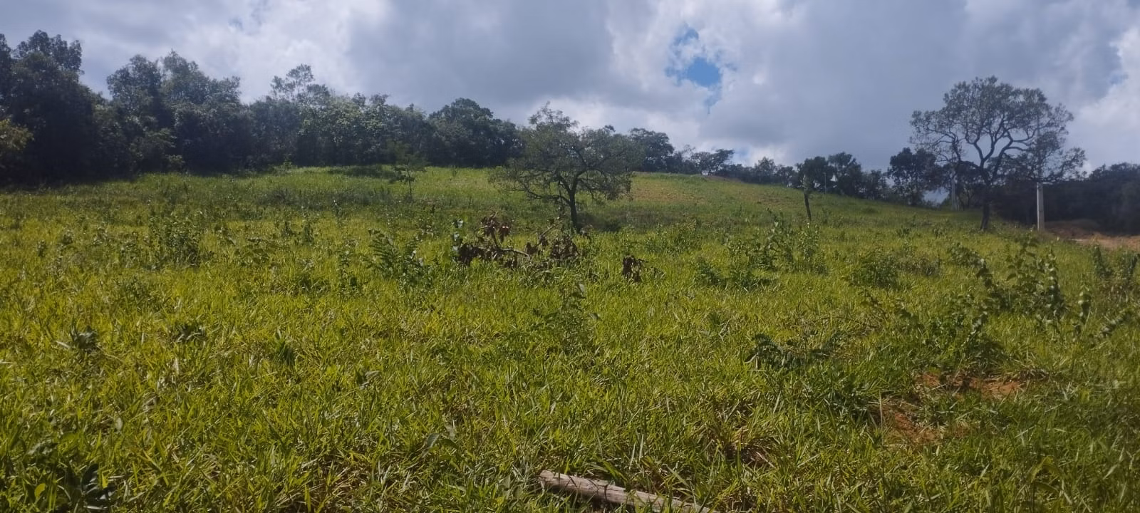 Terreno de 2 ha em Itaguara, MG