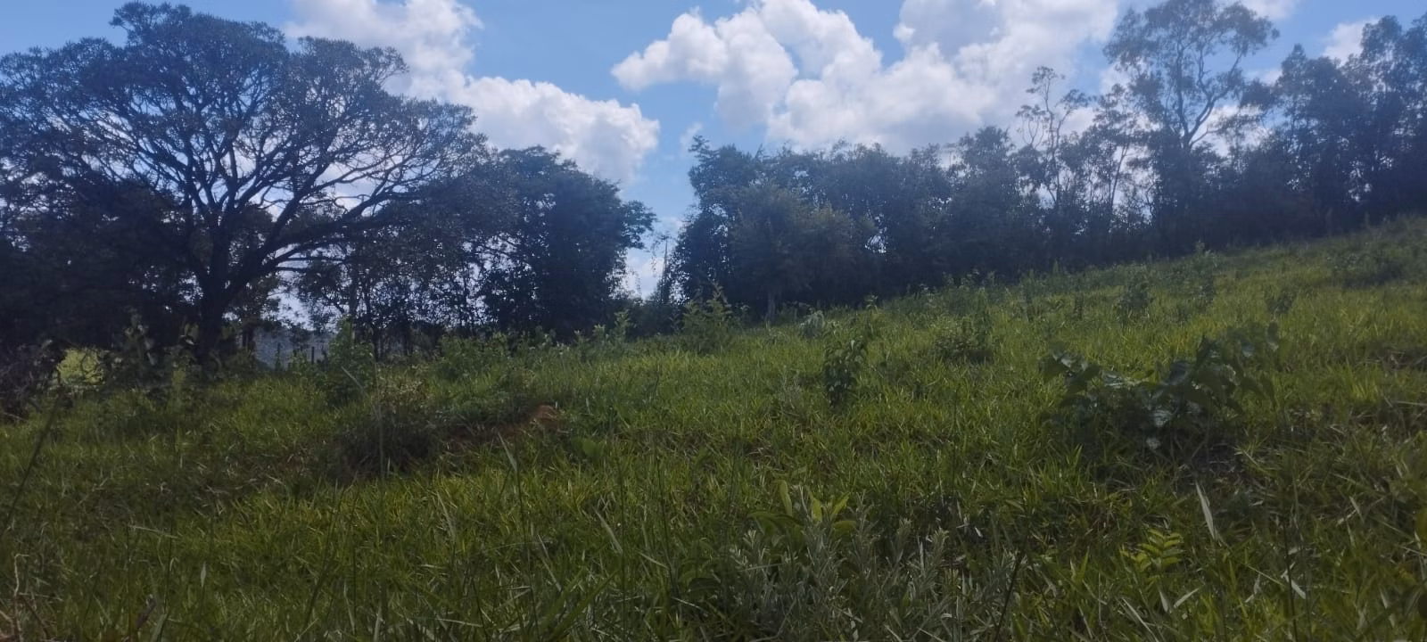 Terreno de 2 ha em Itaguara, MG