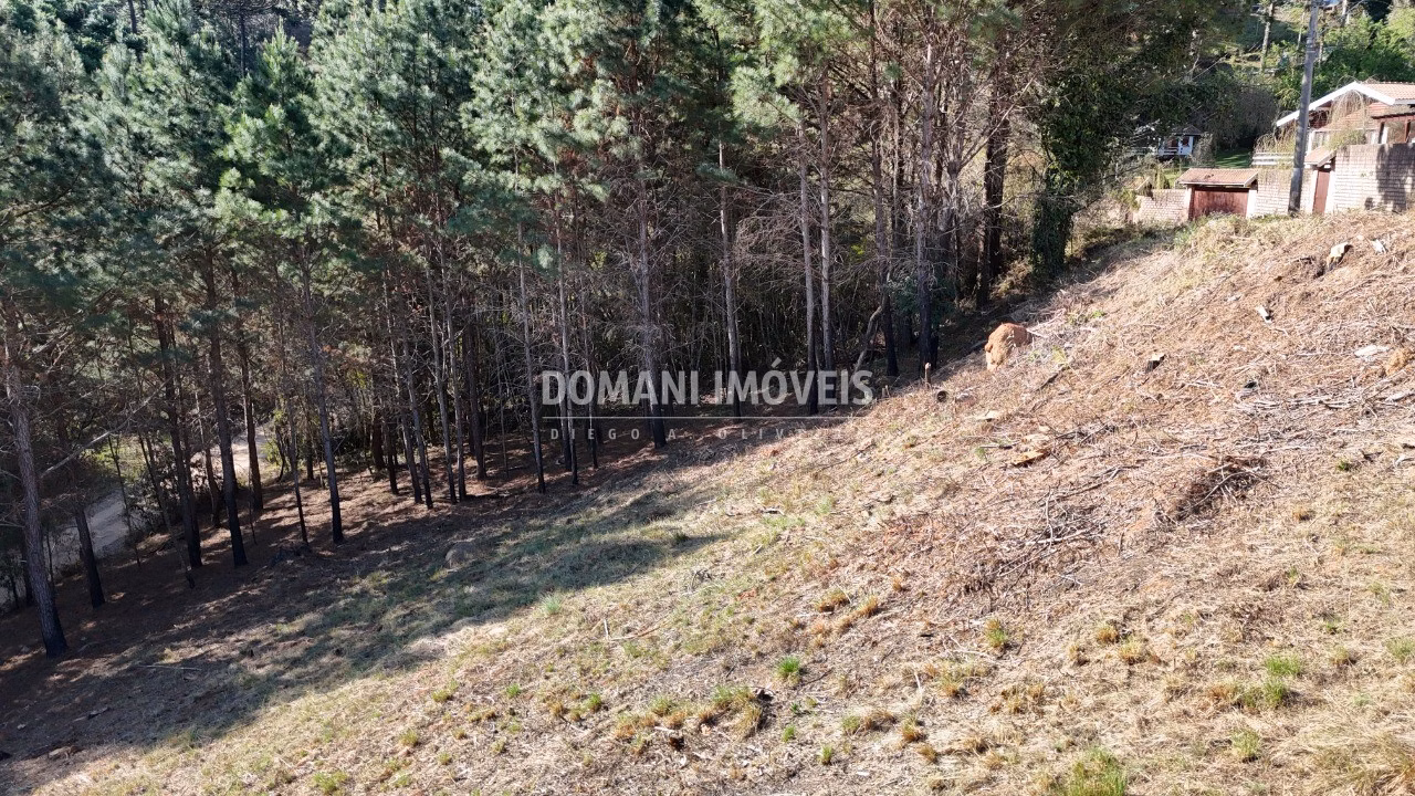Plot of 1,050 m² in Campos do Jordão, SP, Brazil