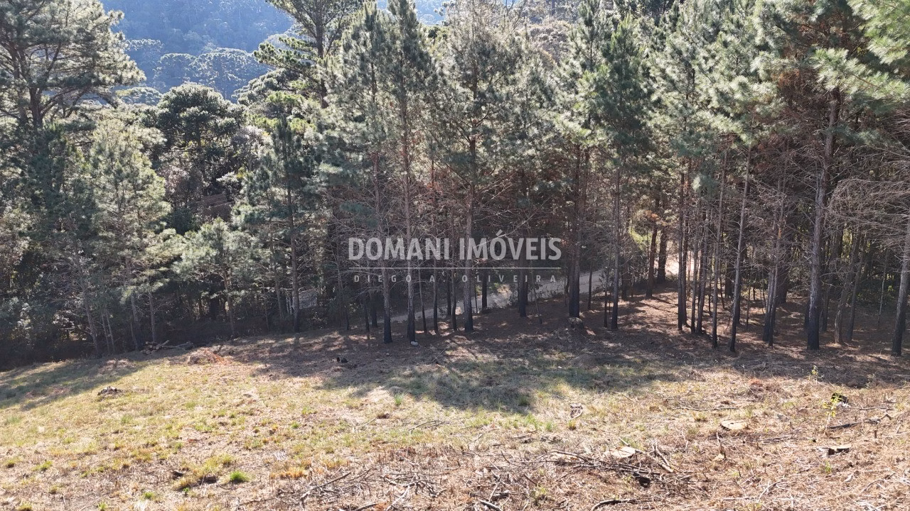 Plot of 1,050 m² in Campos do Jordão, SP, Brazil