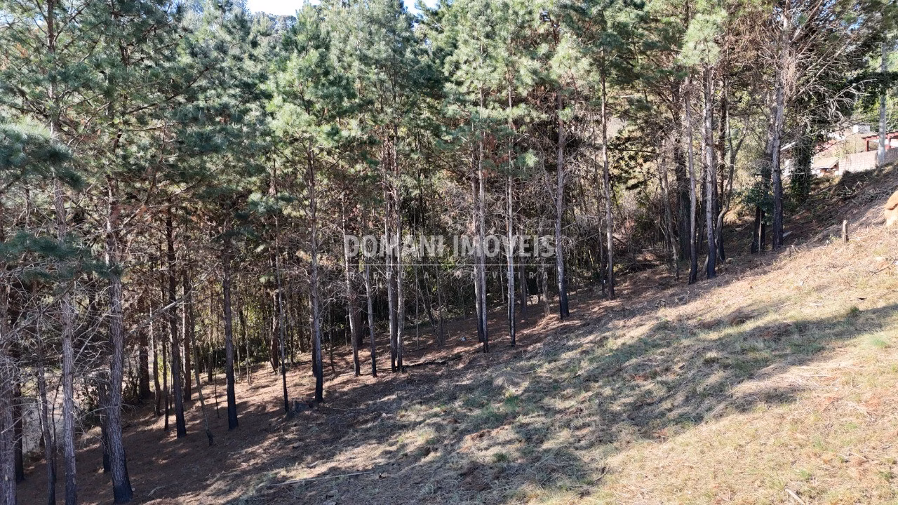 Plot of 1,050 m² in Campos do Jordão, SP, Brazil