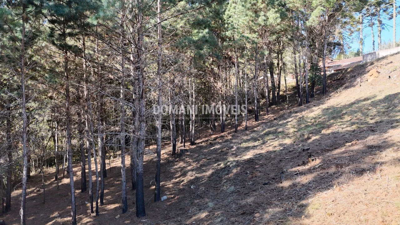 Terreno de 1.050 m² em Campos do Jordão, SP