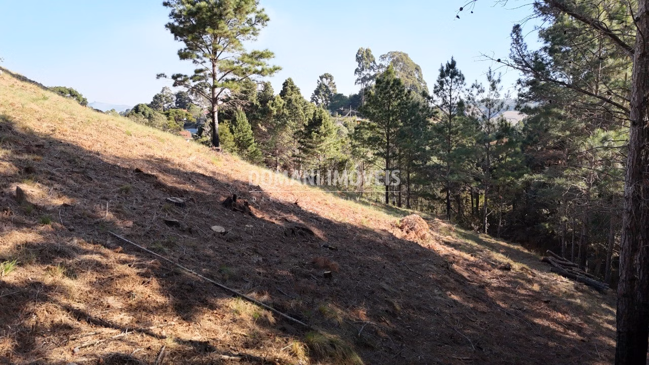 Plot of 1,050 m² in Campos do Jordão, SP, Brazil