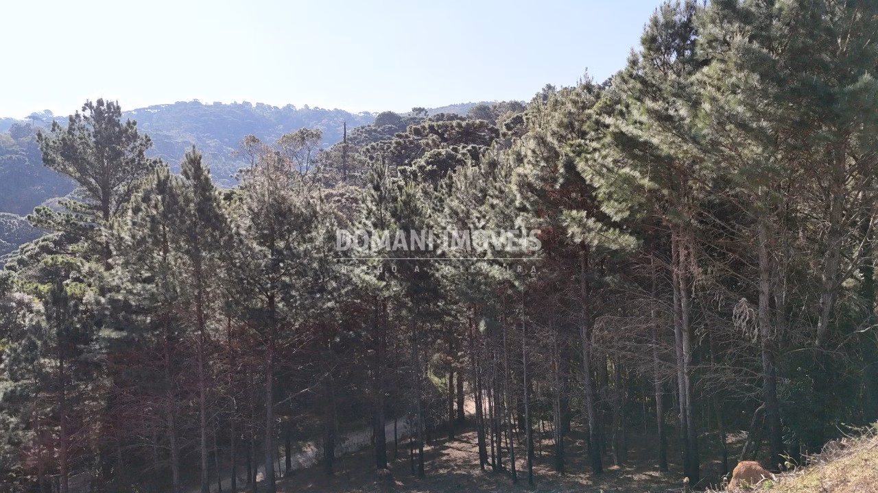Plot of 1,050 m² in Campos do Jordão, SP, Brazil