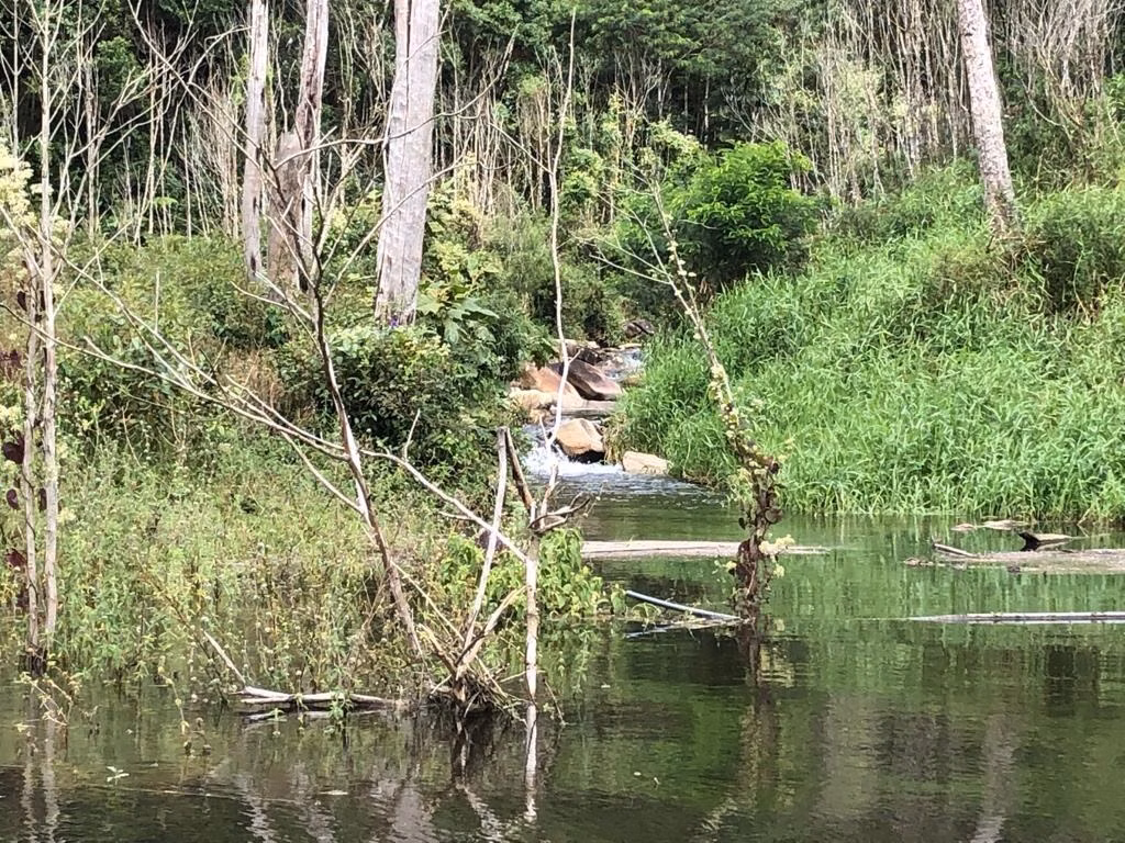 Small farm of 24 acres in Paraibuna, SP, Brazil