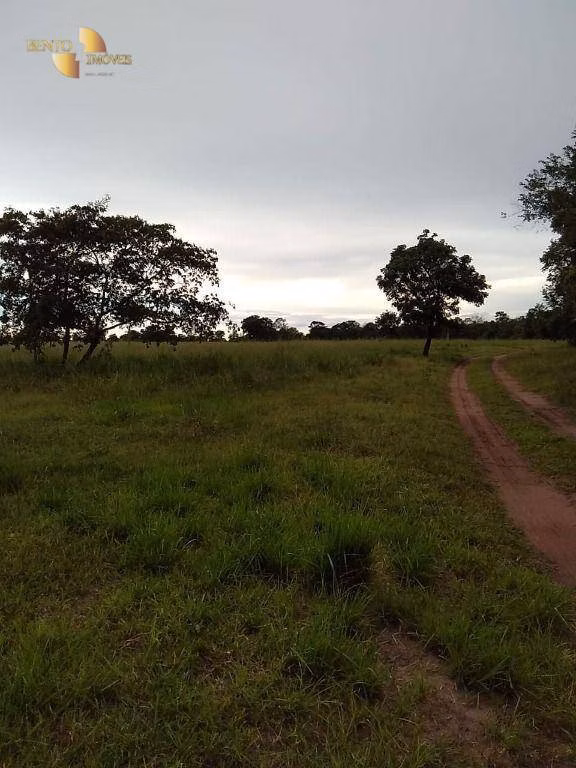 Fazenda de 348 ha em Tangará da Serra, MT