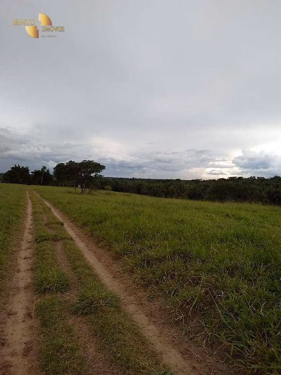 Fazenda de 348 ha em Tangará da Serra, MT