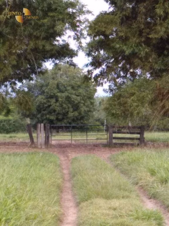 Fazenda de 348 ha em Tangará da Serra, MT