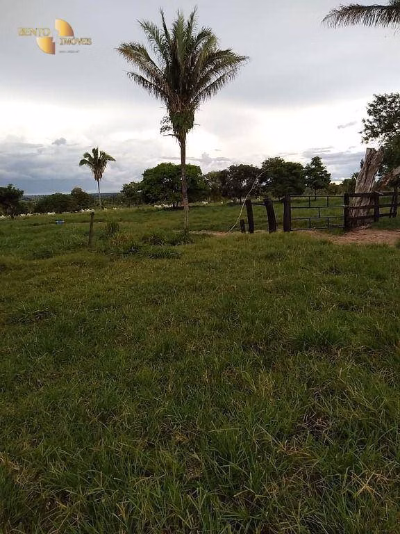Farm of 861 acres in Tangará da Serra, MT, Brazil