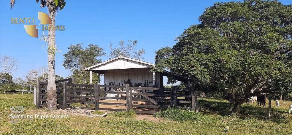Farm of 861 acres in Tangará da Serra, MT, Brazil