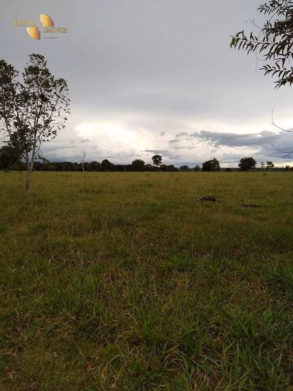 Fazenda de 348 ha em Tangará da Serra, MT